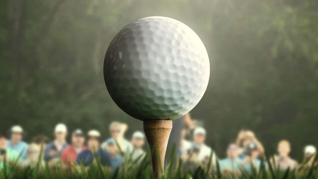 Banner phim Những Tay Golf Chuyên Nghiệp (Phần 4)
