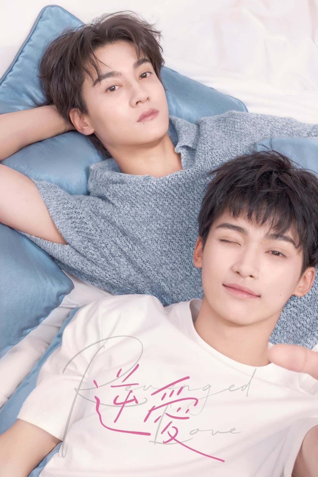 Poster Nghịch Tập (Nghịch Ái)